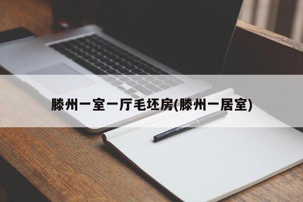 滕州一室一厅毛坯房(滕州一居室)