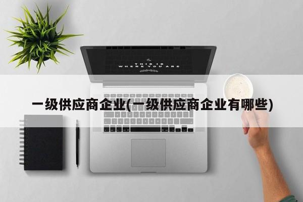 一级供应商企业(一级供应商企业有哪些)