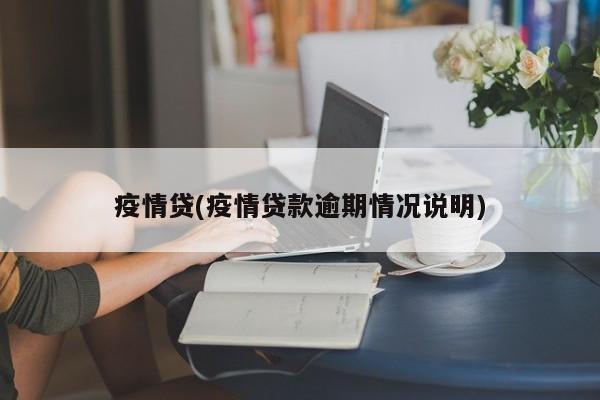 疫情贷(疫情贷款逾期情况说明)