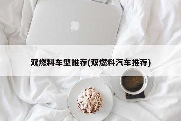 双燃料车型推荐(双燃料汽车推荐)