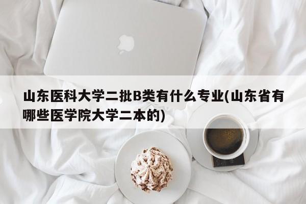 山东医科大学二批B类有什么专业(山东省有哪些医学院大学二本的)
