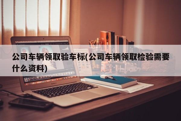 公司车辆领取验车标(公司车辆领取检验需要什么资料)