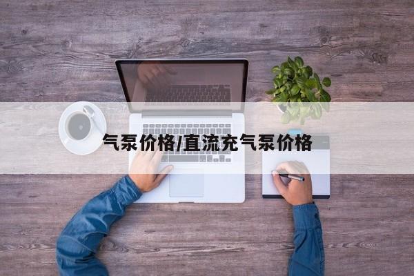气泵价格/直流充气泵价格