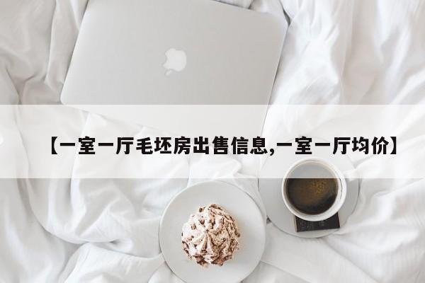 【一室一厅毛坯房出售信息,一室一厅均价】
