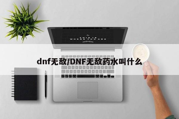 dnf无敌/DNF无敌药水叫什么