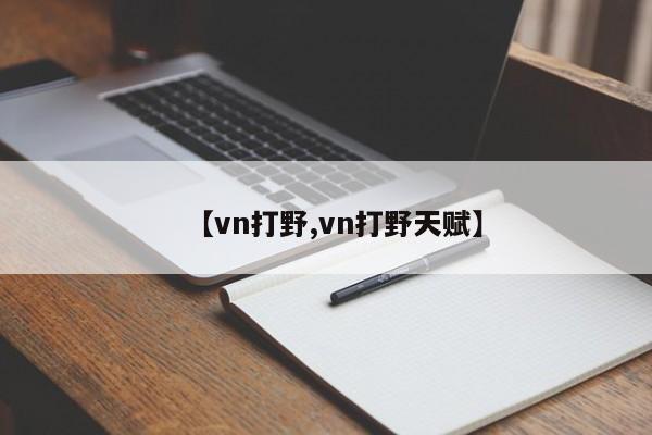 【vn打野,vn打野天赋】