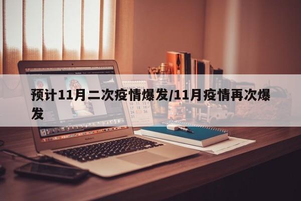 预计11月二次疫情爆发/11月疫情再次爆发