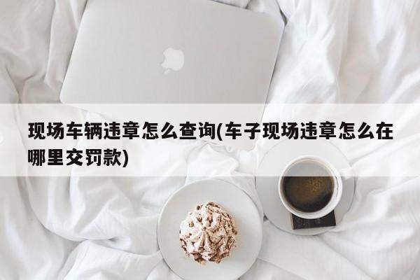 现场车辆违章怎么查询(车子现场违章怎么在哪里交罚款)